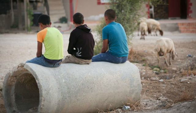 Ali, Mohammed and Yusuf (not their real names) all work on West Bank settlement farms, for 10 shekels per hour. Photo by David Bachar